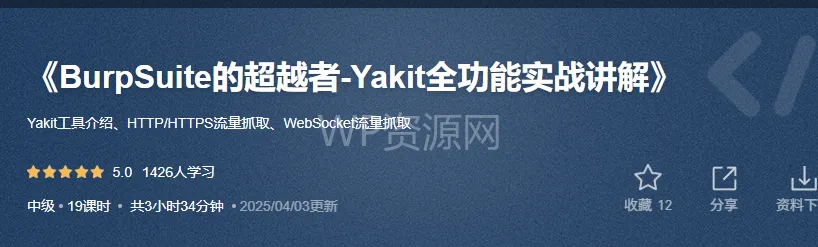 Yakit全功能深度实战指南