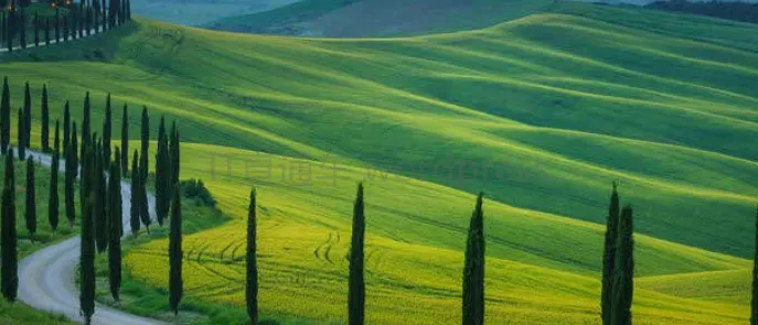 深入了解Git的奥秘