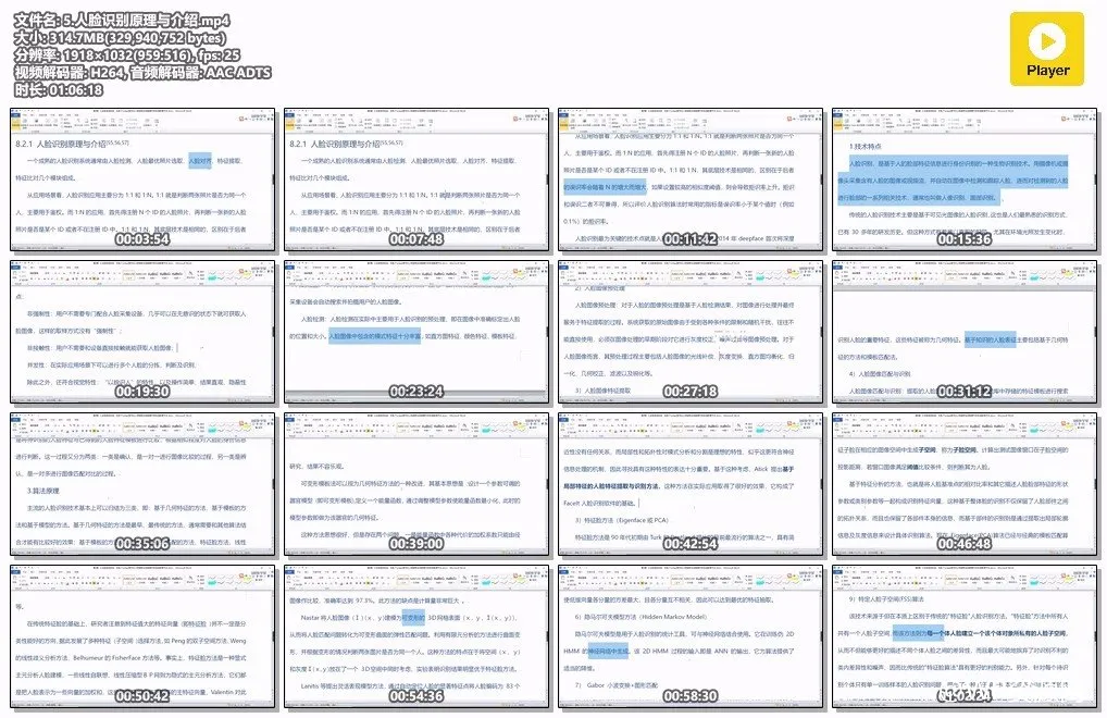 人脸识别技术入门概览与思考