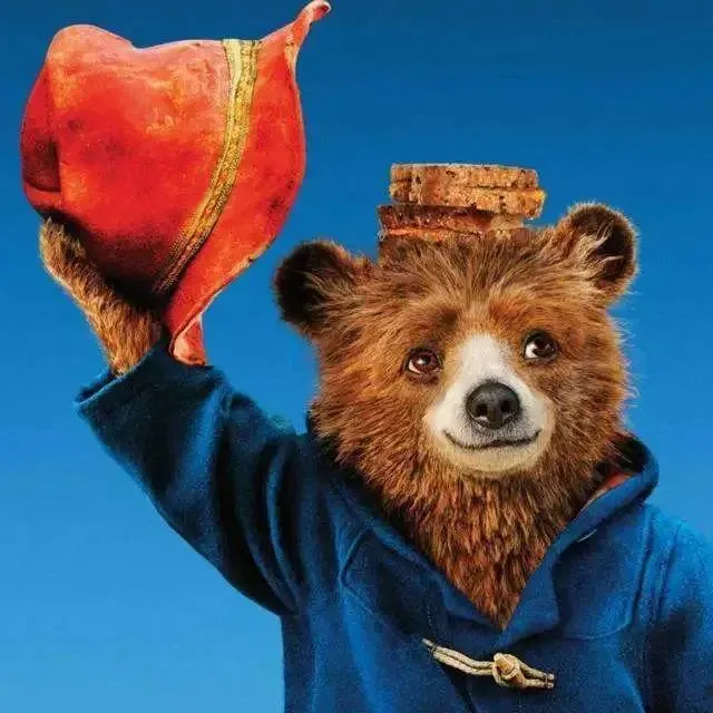 深入探索帕丁顿熊的世界