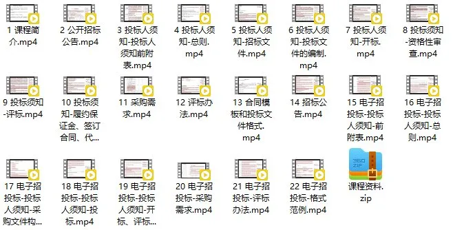 政府采购招标文件深度解析课